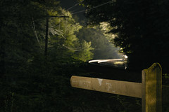 train approaching from around a curve at night