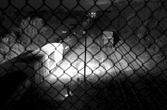 train yard viewed through a chainlink fence